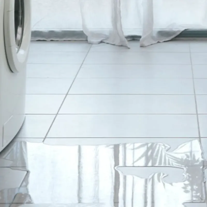 Appliance Leak Cleanup in Clatsop County, OR