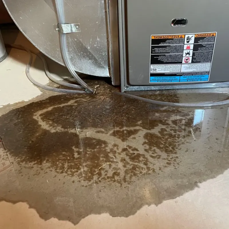 Pipe Burst and Leak Restoration in Clatsop County, OR